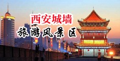 好像大鸡巴操视频中国陕西-西安城墙旅游风景区